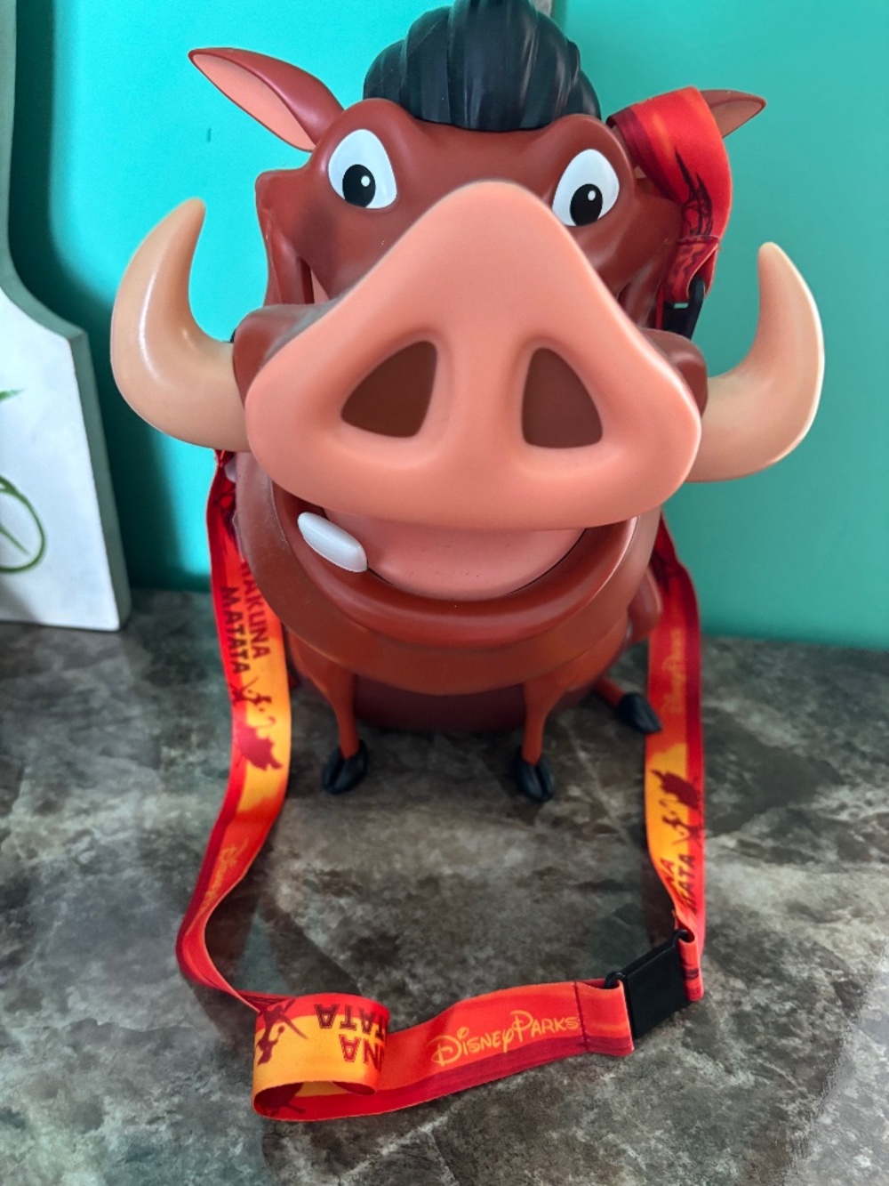 Disney park popcorn holder